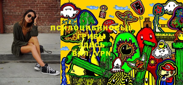 соль ск Киреевск