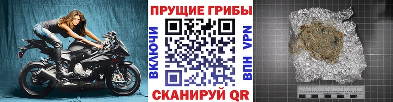 Купить где  Донской  Псилоцибиновые грибы GOLDEN TEACHER 